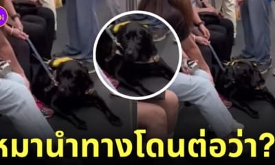 ลุงโวยวายสุนัขนำทางขึ้นรถไฟใต้ดิน ฮ่องกง