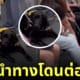 ลุงโวยวายสุนัขนำทางขึ้นรถไฟใต้ดิน ฮ่องกง