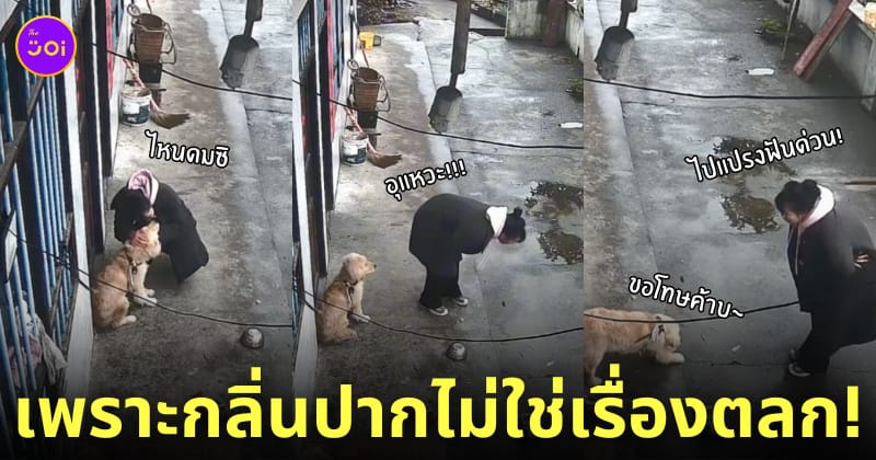 สาวจีนดมกลิ่นปากสุนัข เหม็น