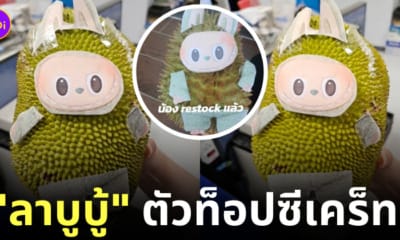 ตุ๊กตาลาบูบู้ labubu ขนุน ทุเรียน