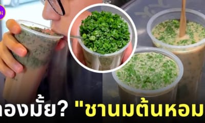 ชานมต้นหอม ประเทศจีน