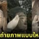เทรนด์ใหม่วันรุ่นจีน โพสท่าถ่ายรูปให้พระพุทธรูป