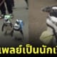 เพนกวินสะพายเป้นักเรียนญี่ปุ่น