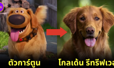 พาส่อง 32 สายพันธุ์สุนัขที่ปรากฏในการ์ตูนดัง แต่ละตัวน่ารักไม่แพ้ในจอ!