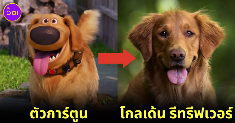 พาส่อง 32 สายพันธุ์สุนัขที่ปรากฏในการ์ตูนดัง แต่ละตัวน่ารักไม่แพ้ในจอ!