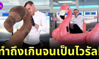 (มีคลิป) เชฟช็อกโกแลตชื่อดัง "อเมารี กีช็ง (Amaury Guichon)" สร้างประติมากรรมช็อกโกแลตรูปห่วงยางฟลามิงโก้ขนาดเท่าของจริง!