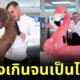 (มีคลิป) เชฟช็อกโกแลตชื่อดัง "อเมารี กีช็ง (Amaury Guichon)" สร้างประติมากรรมช็อกโกแลตรูปห่วงยางฟลามิงโก้ขนาดเท่าของจริง!