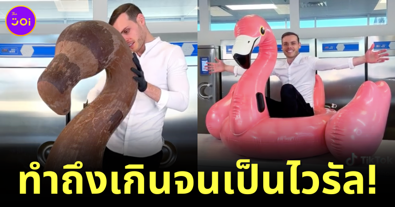 (มีคลิป) เชฟช็อกโกแลตชื่อดัง "อเมารี กีช็ง (Amaury Guichon)" สร้างประติมากรรมช็อกโกแลตรูปห่วงยางฟลามิงโก้ขนาดเท่าของจริง!