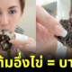 "โบว์ แวนดา" โชว์กินต้มอึ่งไข่บนโซเชียล เจอชาวเน็ตทัวร์ลงบอกว่า "บาป" จนถึงขั้นกดอันฟอลโลว์!