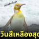 เพนกวินสีเหลือง