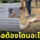 ป้ายนกกระทุง อาหาร กินเด็กดื้อ