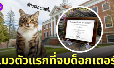 แม็กซ์ แมวเป็นด็อกเตอร์ จบปริญญาเอก