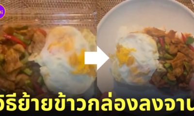 คนญี่ปุ่น เทคนิคย้ายข้าวกล่องลงจานแบบคนไทย