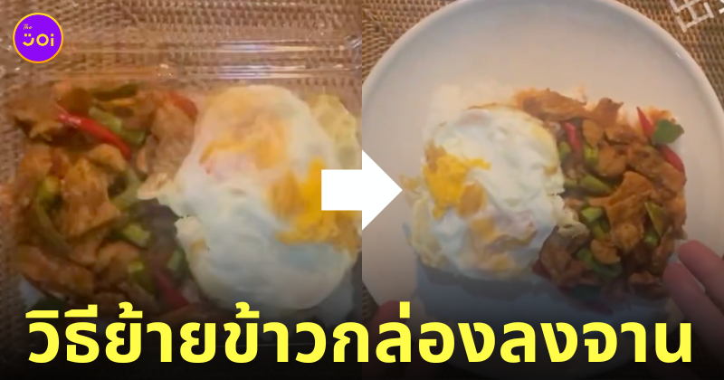 คนญี่ปุ่น เทคนิคย้ายข้าวกล่องลงจานแบบคนไทย