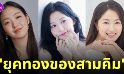 แมวดีด อยู่ไม่สุข ญี่ปุ่น