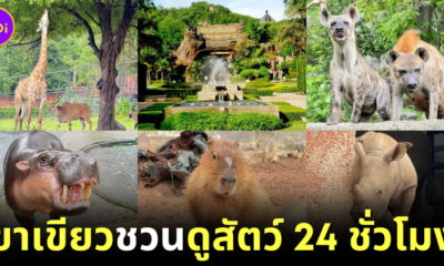 Khao Keaw Zoo 24 hrs live animals