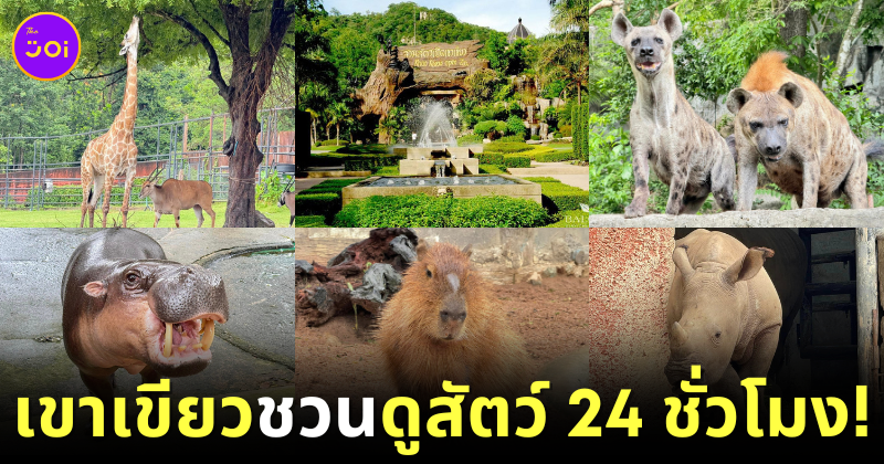Khao Keaw Zoo 24 hrs live animals