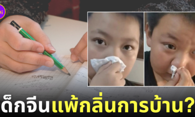 เด็กจีนเป็นโรคแพ้การบ้าน