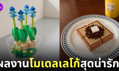โมเดลเลโก้ lego น่ารัก