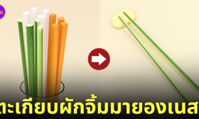 ชุดตะเกียบผักรวมจิ้มมายองเนส