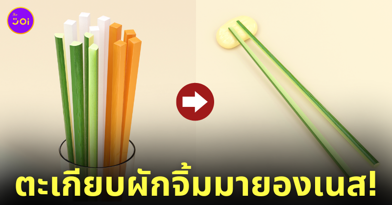 ชุดตะเกียบผักรวมจิ้มมายองเนส