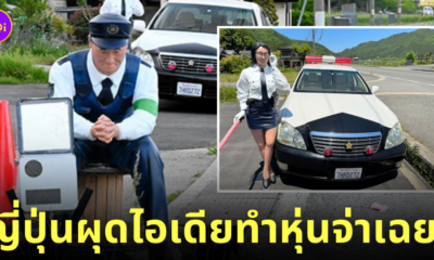 หุ่นจ่าเฉยญี่ปุ่น
