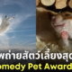 ภาพถ่ายสัตว์เลี้ยงสุดฮา Comedy Pet Awards 2024