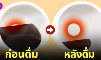 แก้วมัค ดื่มกาแฟ พระอาทิตย์ขึ้น