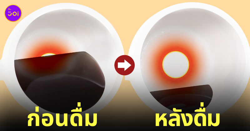 แก้วมัค ดื่มกาแฟ พระอาทิตย์ขึ้น