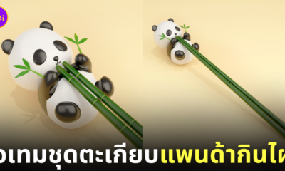 ชุดตะเกียบแพนด้ากินไผ่