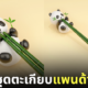 ชุดตะเกียบแพนด้ากินไผ่