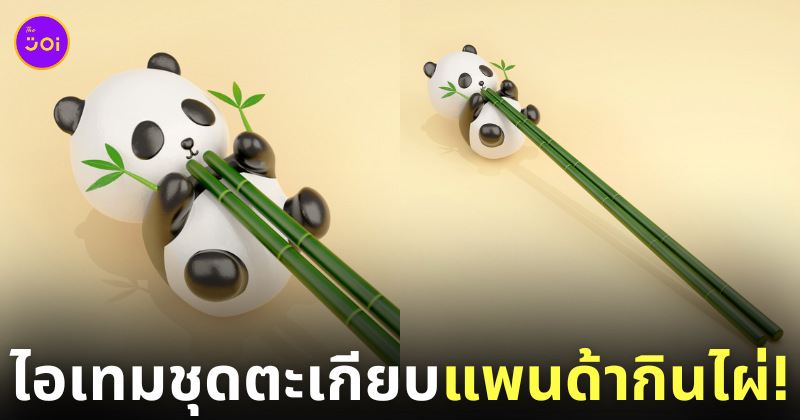 ชุดตะเกียบแพนด้ากินไผ่