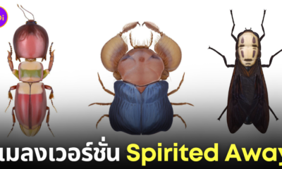 ภาพวาดแมลง Spirited Away