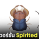 ภาพวาดแมลง Spirited Away