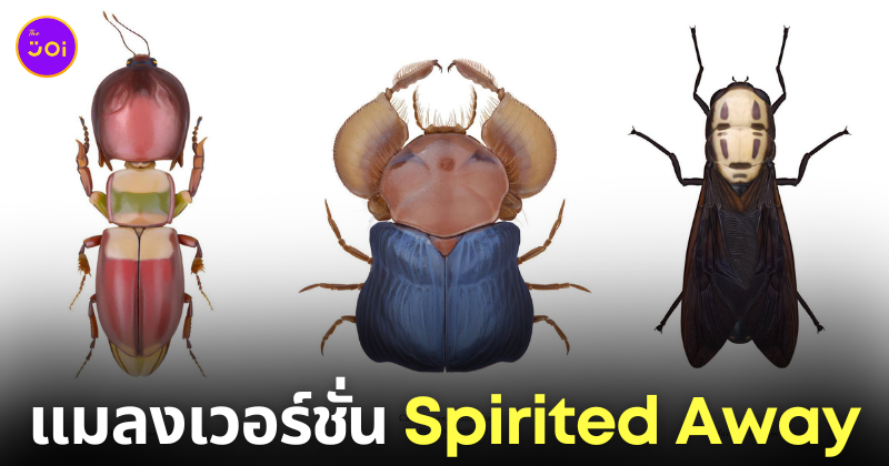 ภาพวาดแมลง Spirited Away