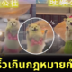 คลิปวิดีโอน้องหมาในคาเฟ่ใส่ชุดสุดแซ่บเต้นดุ๊กดิ๊ก