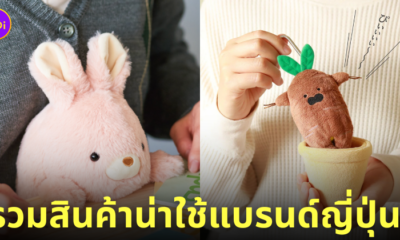 สินค้าของใช้แบรนด์ญี่ปุ่น