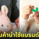 สินค้าของใช้แบรนด์ญี่ปุ่น
