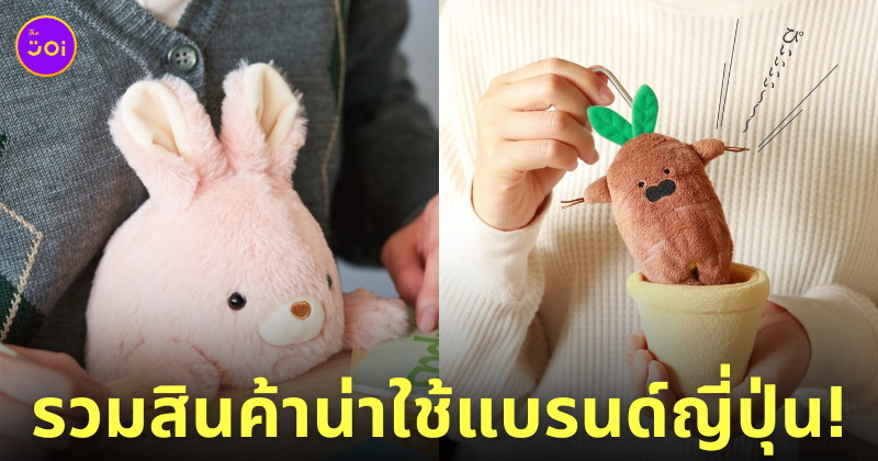 สินค้าของใช้แบรนด์ญี่ปุ่น