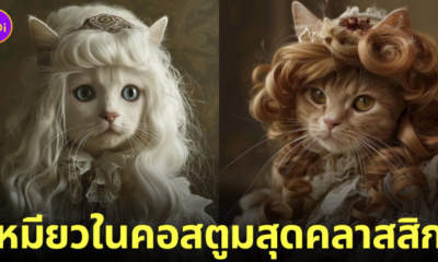 ภาพน้องแมวในลุคคอสตูมสุดคลาสสิก aiart