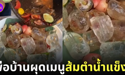 คลิปทำส้มตำน้ำแข็ง