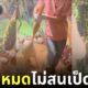 คลิปนกกระทุงงับเป็ดทั้งตัว