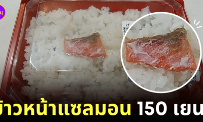 ข้าวหน้าแซลมอนจิ๋วราคา 150 เยน