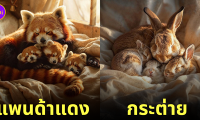 ภาพแม่ลูกสัตว์โลกน่ารักที่นอนกอดกันแน่นแบบแสนอบอุ่น aiart