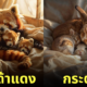 ภาพแม่ลูกสัตว์โลกน่ารักที่นอนกอดกันแน่นแบบแสนอบอุ่น aiart