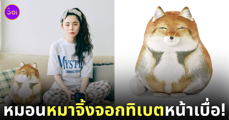 หมอนหมาจิ้งจอกทิเบต Felissimo