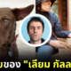 ส่องชีวิต "น้องบัตตันส์ (Buttons)" หมาไทยพันทาง ที่ถูก "เลียม กัลลาเกอร์ (Liam Gallagher)" นักร้องนำวง "Oasis" รับเลี้ยง