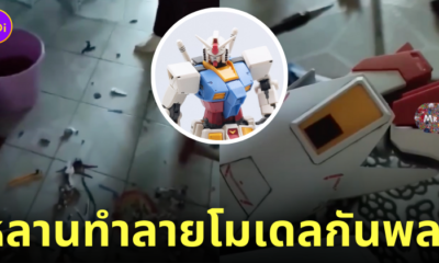 หลานทำโมเดลกันดั้ม กันพลา พัง ร้องไห้