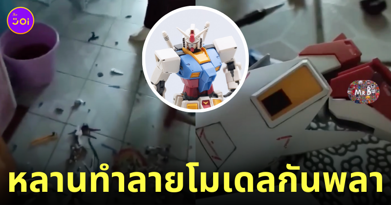 หลานทำโมเดลกันดั้ม กันพลา พัง ร้องไห้
