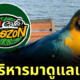 นกแก้ว cafe amazon ฐานทัพเรือสัตหีบ